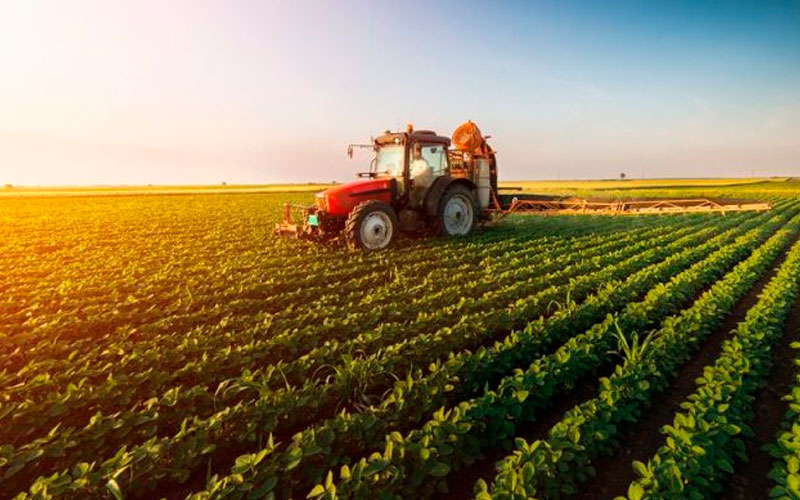 derecho agrario panama